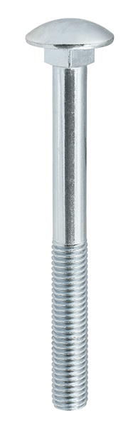 Śruba z łbem grzybkowym podsadzonym zamkowa M6x20mm ocynk  (2)