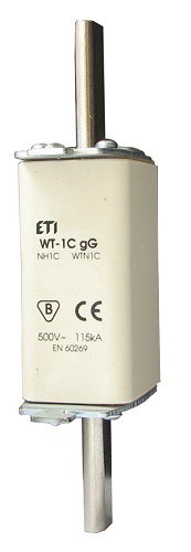 Wkładka topikowa przemysłowa zwłoczna 125A gG WT-1C (1)